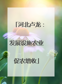 河北卢龙：发展设施农业促农增收