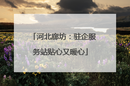 河北廊坊：驻企服务站贴心又暖心