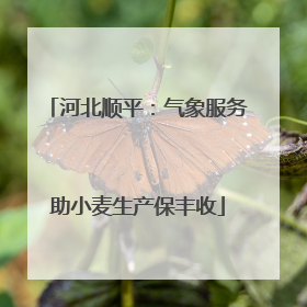 河北顺平：气象服务助小麦生产保丰收