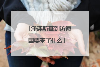 泽连斯基到访德国要来了什么