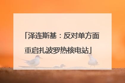 泽连斯基：反对单方面重启扎波罗热核电站