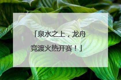 泉水之上，龙舟竞渡火热开赛！