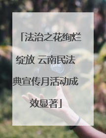 法治之花绚烂绽放 云南民法典宣传月活动成效显著