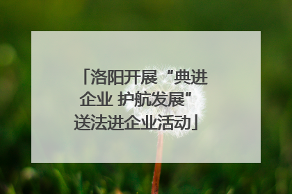 洛阳开展“典进企业 护航发展”送法进企业活动