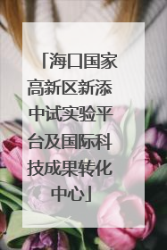 海口国家高新区新添中试实验平台及国际科技成果转化中心