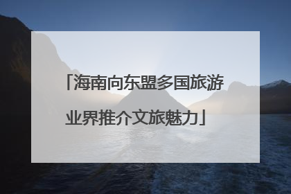 海南向东盟多国旅游业界推介文旅魅力