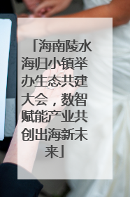 海南陵水海归小镇举办生态共建大会，数智赋能产业共创出海新未来