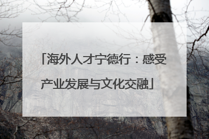 海外人才宁德行：感受产业发展与文化交融