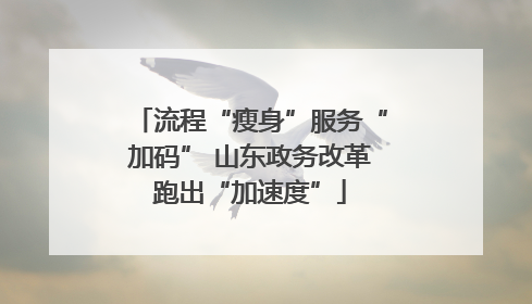 流程“瘦身”服务“加码” 山东政务改革跑出“加速度”