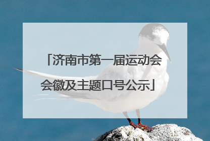 济南市第一届运动会会徽及主题口号公示