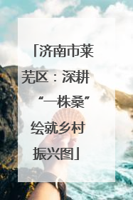 济南市莱芜区：深耕“一株桑” 绘就乡村振兴图