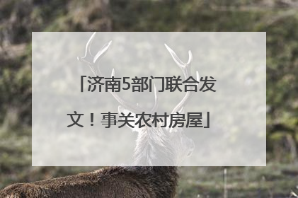 济南5部门联合发文！事关农村房屋