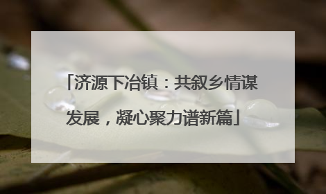 济源下冶镇：共叙乡情谋发展，凝心聚力谱新篇
