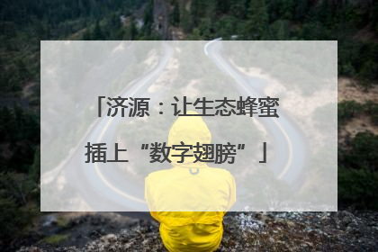 济源：让生态蜂蜜插上“数字翅膀”
