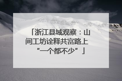 浙江县域观察：山间工坊诠释共富路上“一个都不少”