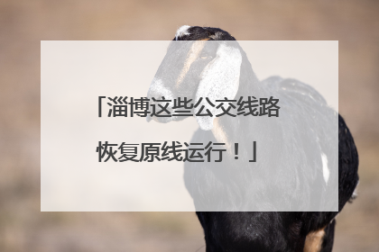 淄博这些公交线路恢复原线运行！