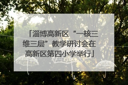 淄博高新区“一核三维三层”教学研讨会在高新区第四小学举行