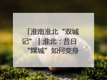 淮南淮北“双城记”｜淮北：昔日“煤城”如何变身文旅“美城”？