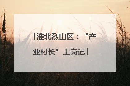 淮北烈山区：“产业村长”上岗记