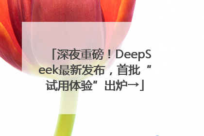 深夜重磅！DeepSeek最新发布，首批“试用体验”出炉→