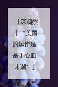深观察丨“美国的运作是基于心血来潮”