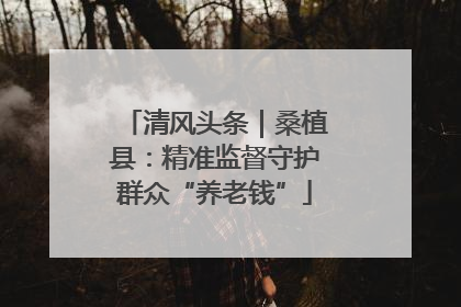 清风头条｜桑植县：精准监督守护群众“养老钱”