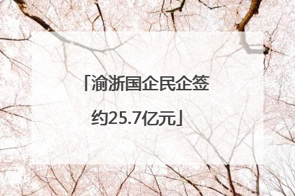 渝浙国企民企签约25.7亿元