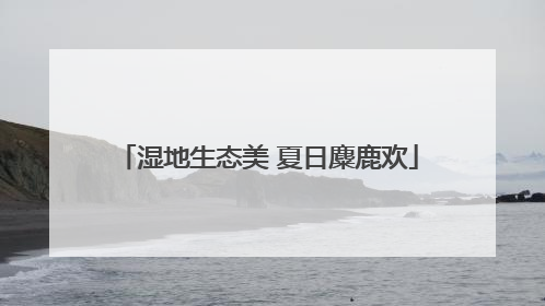 湿地生态美 夏日麋鹿欢