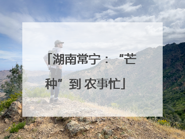 湖南常宁：“芒种”到 农事忙