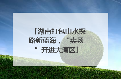 湖南打包山水探路新蓝海，“卖场”开进大湾区