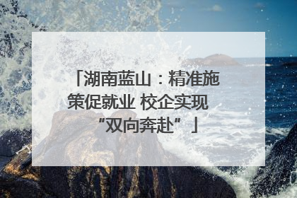 湖南蓝山：精准施策促就业 校企实现“双向奔赴”