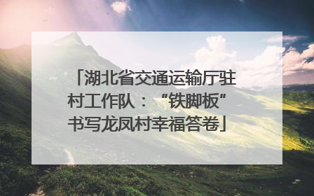 湖北省交通运输厅驻村工作队：“铁脚板”书写龙凤村幸福答卷