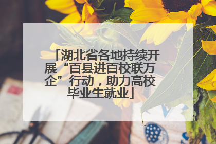 湖北省各地持续开展“百县进百校联万企”行动，助力高校毕业生就业