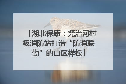 湖北保康：尧治河村级消防站打造“防消联勤”的山区样板
