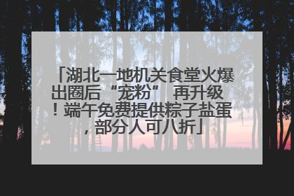 湖北一地机关食堂火爆出圈后“宠粉” 再升级！端午免费提供粽子盐蛋，部分人可八折
