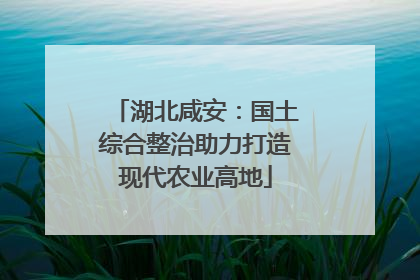湖北咸安：国土综合整治助力打造现代农业高地