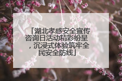 湖北孝感安全宣传咨询日活动精彩纷呈，沉浸式体验筑牢全民安全防线