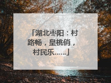 湖北枣阳：村路畅，皇桃俏，村民乐……