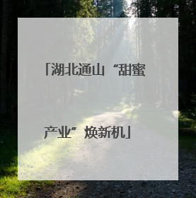 湖北通山“甜蜜产业”焕新机