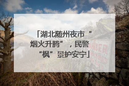 湖北随州夜市“烟火升腾”，民警“枫”景护安宁