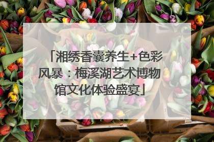 湘绣香囊养生+色彩风暴：梅溪湖艺术博物馆文化体验盛宴