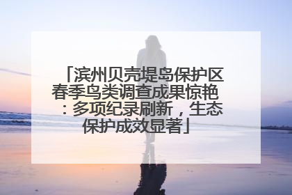 滨州贝壳堤岛保护区春季鸟类调查成果惊艳：多项纪录刷新，生态保护成效显著
