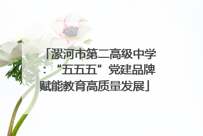 漯河市第二高级中学：“五五五”党建品牌赋能教育高质量发展