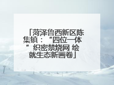 菏泽鲁西新区陈集镇：“四位一体”织密禁烧网 绘就生态新画卷