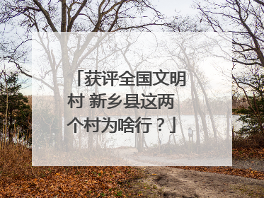 获评全国文明村 新乡县这两个村为啥行?