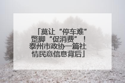 莫让“停车难”蹩脚“促消费”！泰州市政协一篇社情民意信息背后