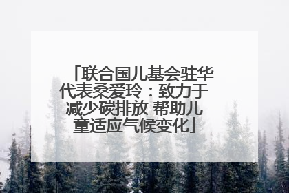联合国儿基会驻华代表桑爱玲：致力于减少碳排放 帮助儿童适应气候变化