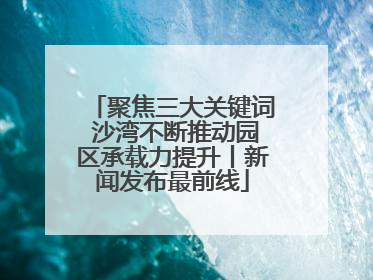 聚焦三大关键词 沙湾不断推动园区承载力提升丨新闻发布最前线