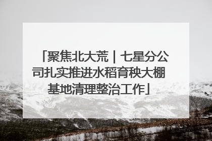 聚焦北大荒｜七星分公司扎实推进水稻育秧大棚基地清理整治工作