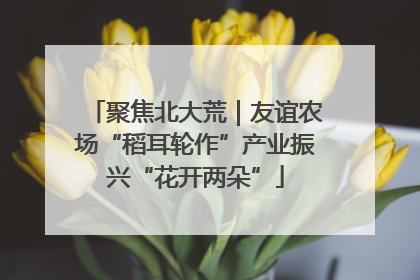 聚焦北大荒｜友谊农场“稻耳轮作”产业振兴“花开两朵”
